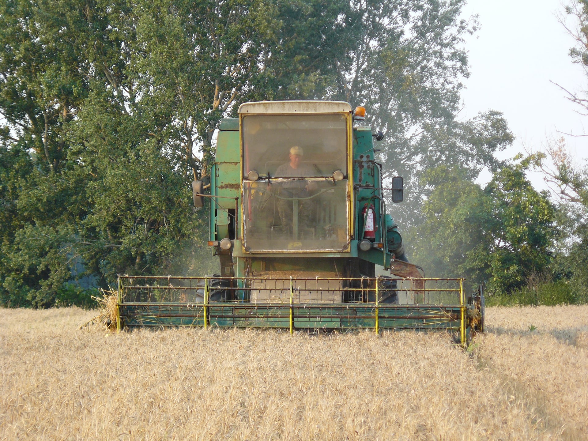 275601527_1866470130214231_6165874465977436281_n