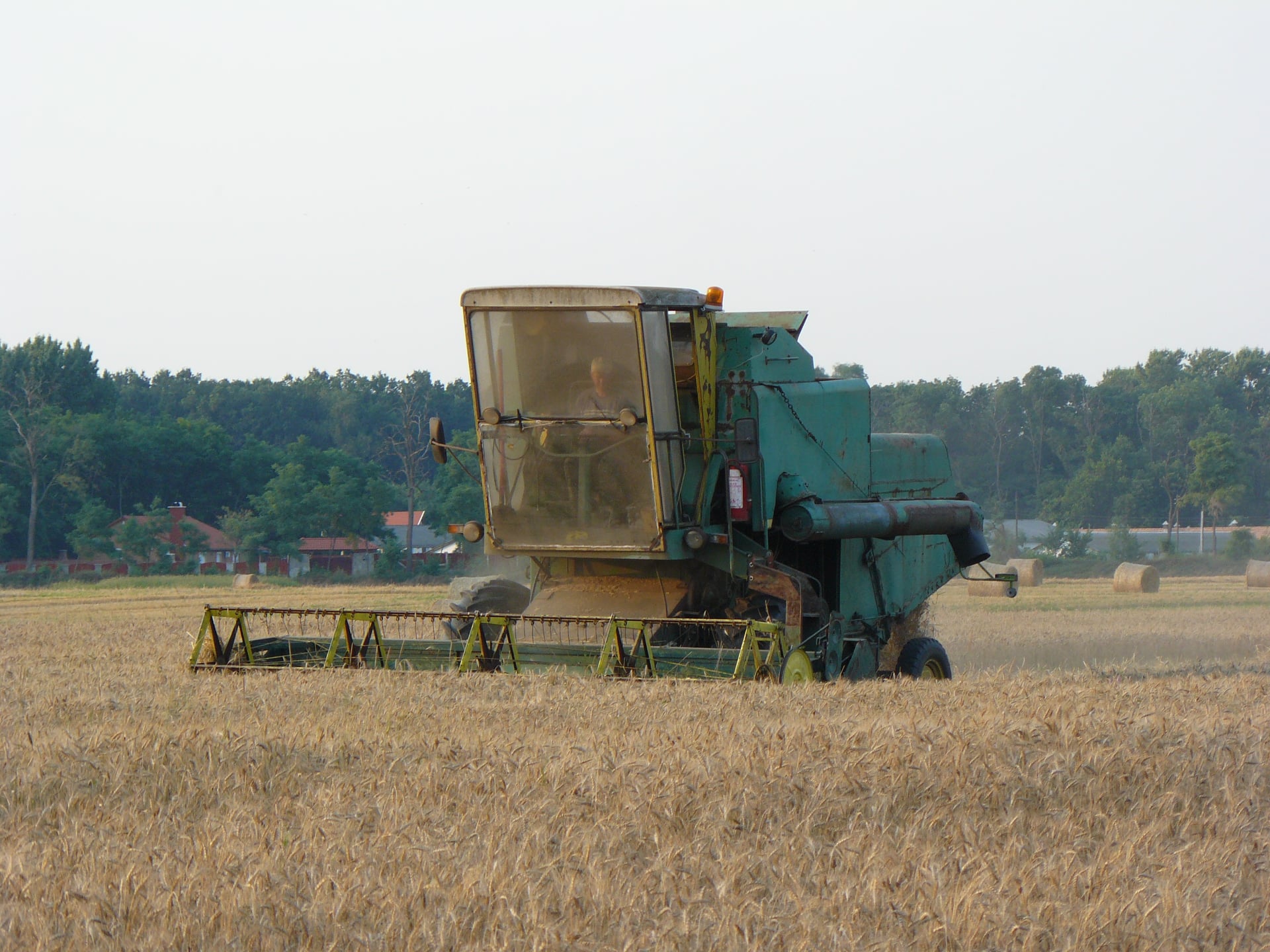 275618893_1866470586880852_7878495286370196676_n